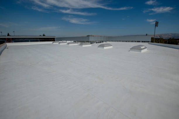 Best Solar Panel Roofing Installation  in Westmere, NY
